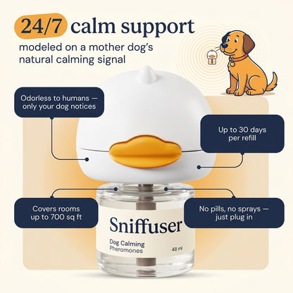 Dog Calming Sniffuser Kit