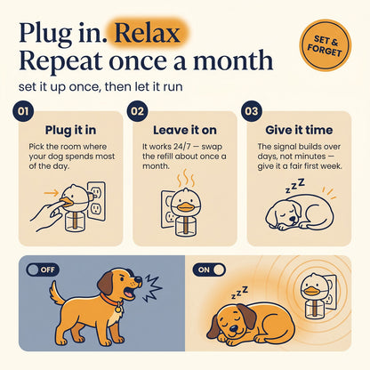 Dog Calming Sniffuser Kit